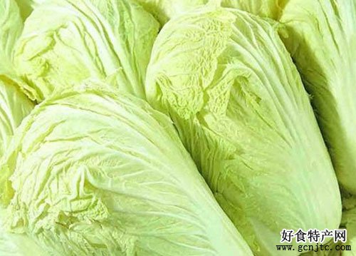 膠州大白菜-青島特產-蔬菜