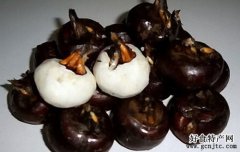 黃陂馬蹄-武漢特產-水果