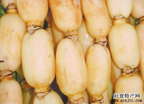 蔡甸蓮藕-武漢特產-蔬菜
