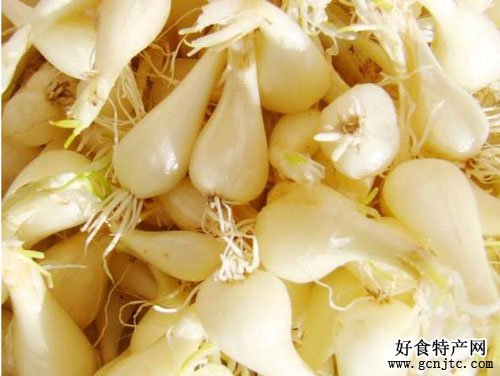 舒安藠頭-武漢特產-蔬菜