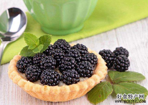 白馬黑莓-南京特產-水果