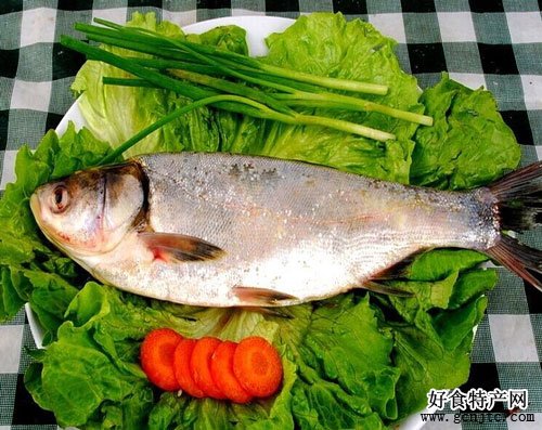 大黃堡鰱魚-武清特產-水產