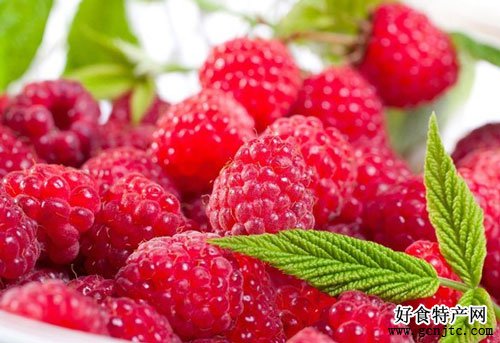 尚志紅樹莓-哈爾濱特產-水果